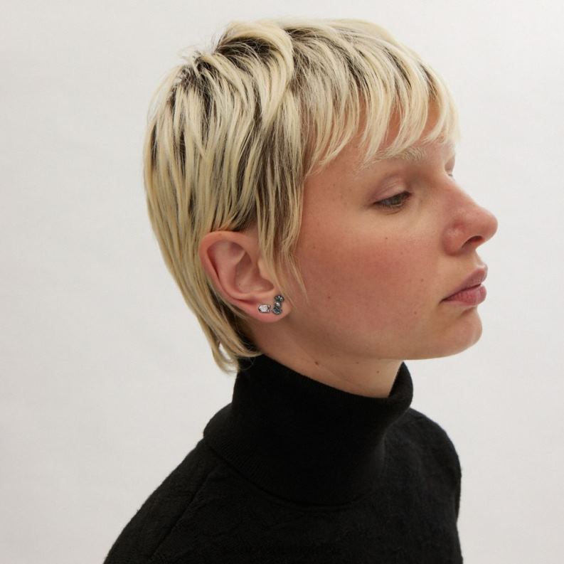 Coach Women CANDY AND BOW STUD EARRINGS SET Hematite Multi 4ZRDJ538