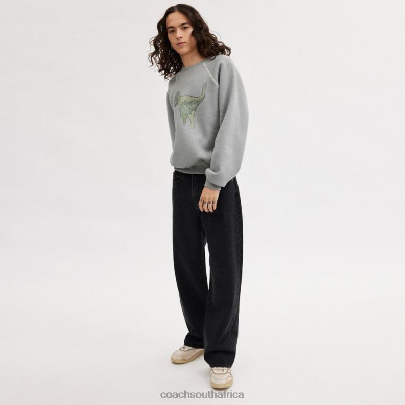 Coach Women REXY CREWNECK SWEATSHIRT Gray 4ZRDJ483