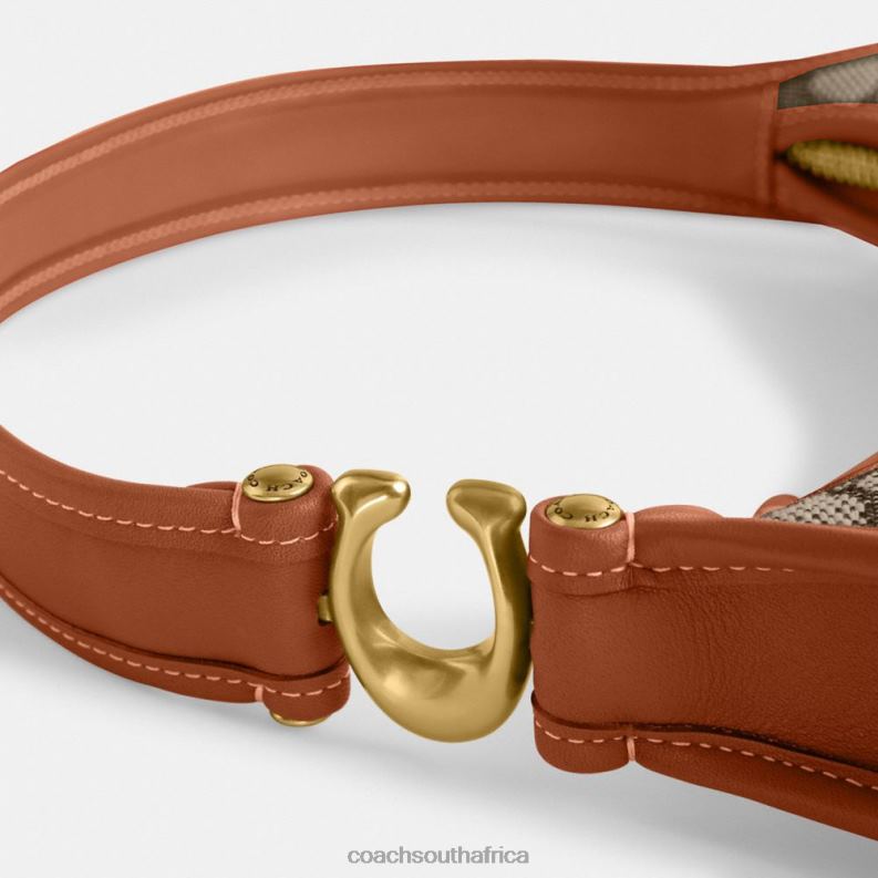 Coach Women EVE SHOULDER BAG IN SIGNATURE TEXTILE JACQUARD B4/Cocoa Burnished Amb 4ZRDJ273