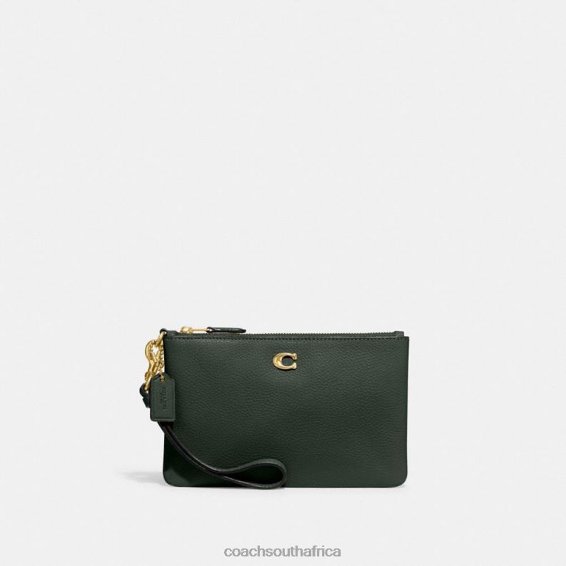 Coach Women SMALL WRISTLET B4/Amazon Green 4ZRDJ363
